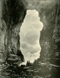 Tasman