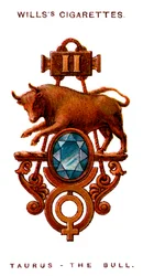 Taurus, The Bull