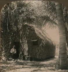 Thatched Cottage in Cocoanut Grove, Florida, U.S.A.