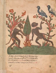 The Birds and the Monkeys with the Glow Worm, Folio from a Kalila wa Dimna