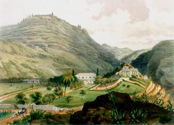 The Briars, St Helena, Early 19th Century