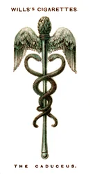 The Caduceus