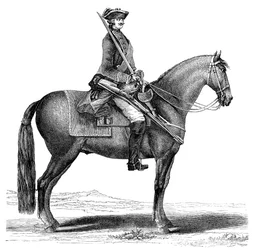 The Cavalier
