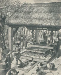 The Cider Press in the Middle Ages