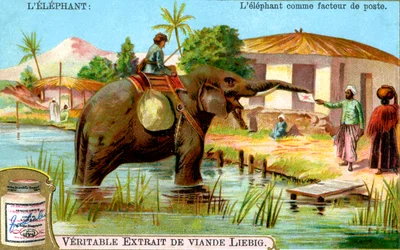 The Elephant as Postman