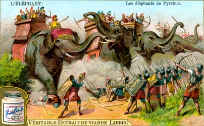 The Elephants of Pyrrhus, c1900