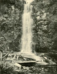The Erskine Falls, Near Lorne