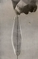 The First Incandescent Electric Lamp