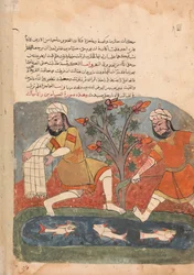 The Fish and the Fisherman, Folio from a Kalila wa Dimna