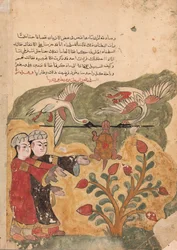 The Flight of the Tortoise, Folio from a Kalila wa Dimna, 18th century