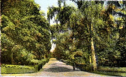 The Flower Walk, Kensington Gardens, London, 20th Century
