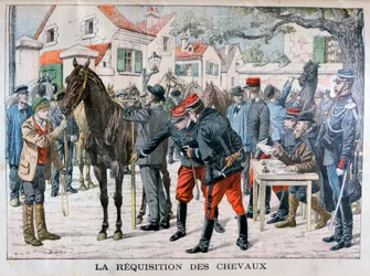 The French army buying horses, 1904