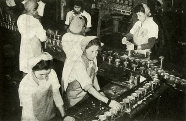 The Great Salmon Industry - Indian girls working in the canning department, c1948