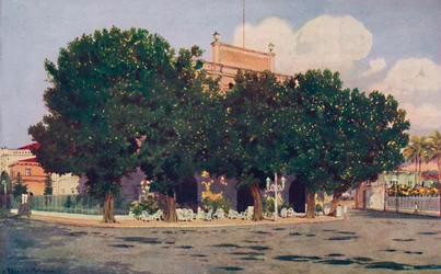The Hotel dos Estrangeiros. Frequented by the Official World of Rio and Distinguished Foreigners