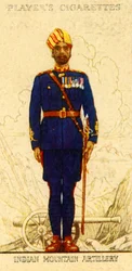 The Indian Mountain Artillery