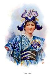 The Iris