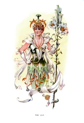 The Lily