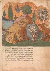 The Lion King, With His Mother, Receives Dimna, Folio from a Kalila wa Dimna