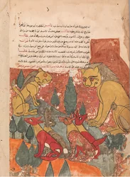 The Lioness Advises Her Son, Folio from a Kalila wa Dimna