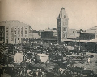 The Market, Kimberley