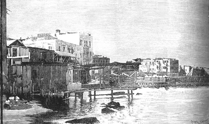 The Old Harbour, Alexandria