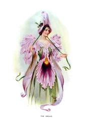 The Orchid