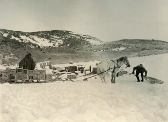 The Pont Quan About To Draw A Sledge Load of Stores