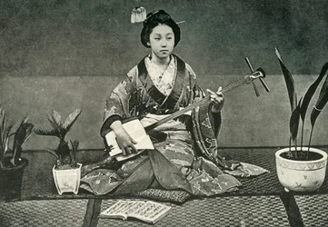 The Samisen
