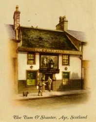 The Tam O