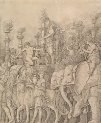 The Triumph of Caesar: The Elephants