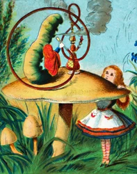 The Caterpillar on His Mushroom, 1900