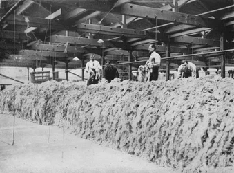 The making of khaki - Wool blending