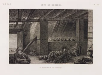 The Manufacture of Ammonia Salt
