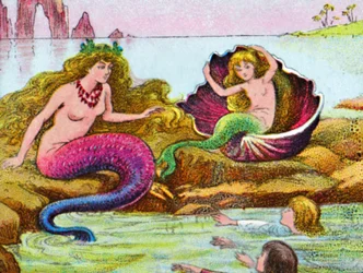 The Mermaids