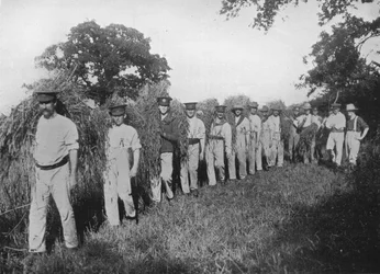 The Shortage of Farm Labour: Soldiers Assisting with the Harvest, 1915