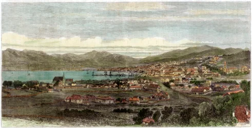 The Town and Port of Wellington, Capital of New Zealand