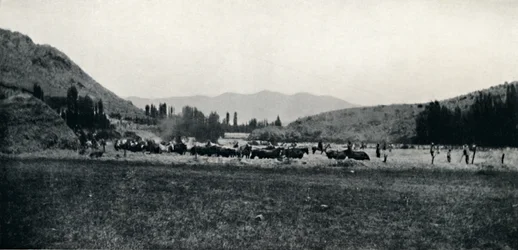 Threshing Corn in the Ancient Manner, 1911
