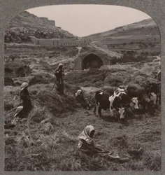 Threshing grain near Jacob