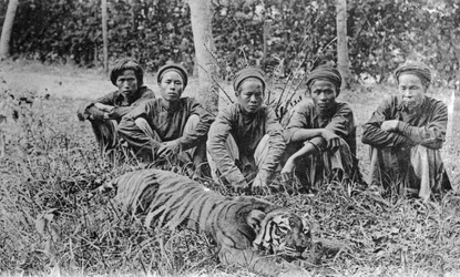 Tiger Hunters, Tonkin, Vietnam