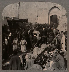 Traffic by St. Stephen