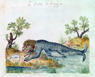 Triton