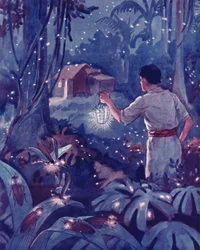 Tropical Fireflies as Dancing Points of Light