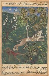 Tales of a Parrot, Tale XXIX