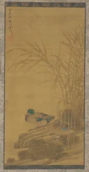 Two Ducks Among Reeds at the Water