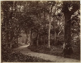 Untitled Landscape