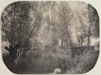 Untitled Landscape with Dog