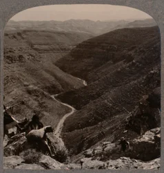Valley of the Arno, Shepherd and Sheep in Foreground, c1900