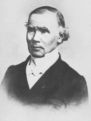Velpeau