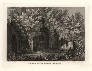 View of the spring of the nymph Egeria, Parco Cafarella, Rome