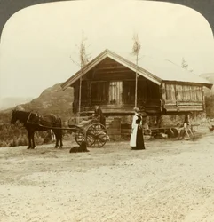 Waiting for passengers on the road near Bolkesjo, Norway